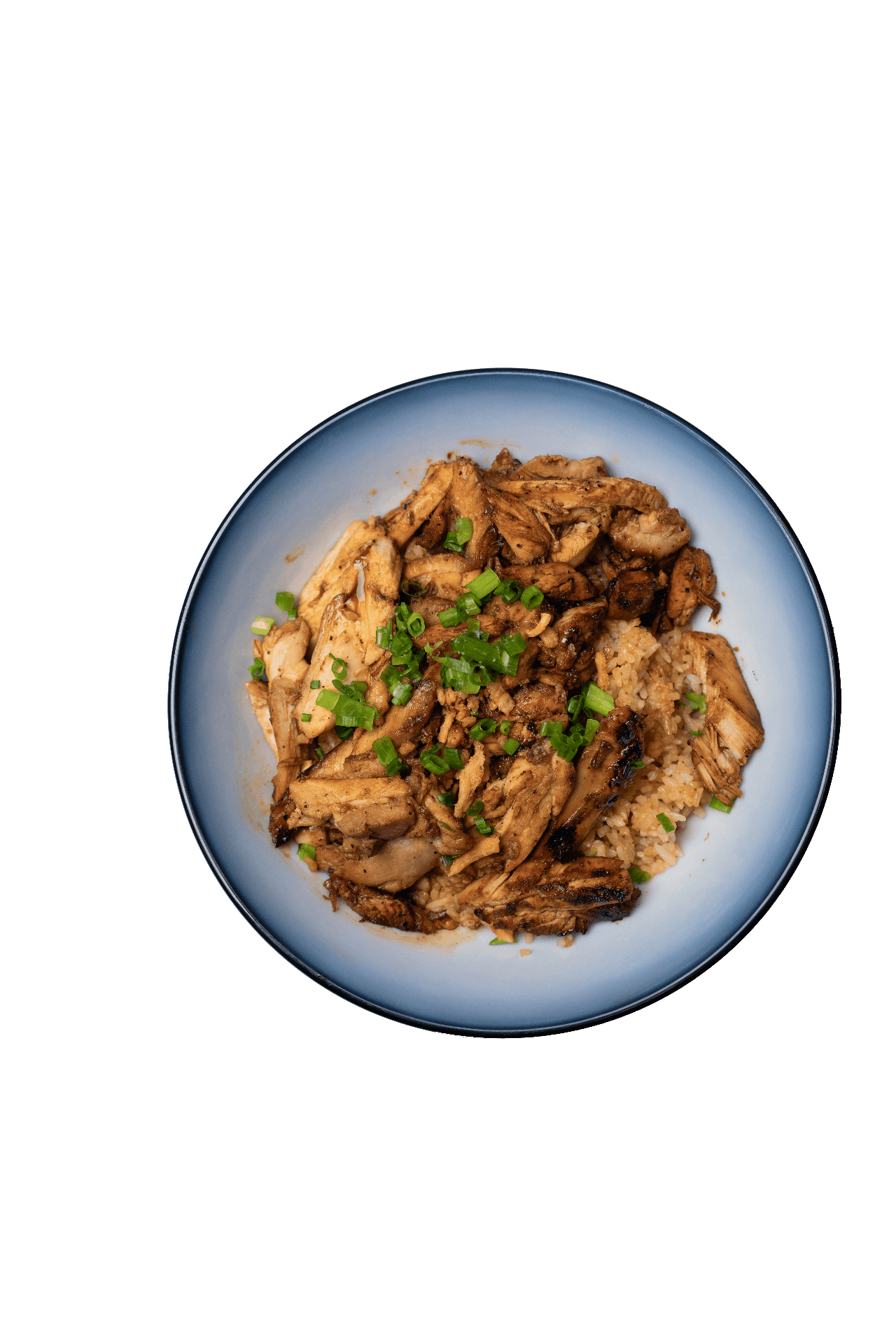 CHICKEN TERIYAKI